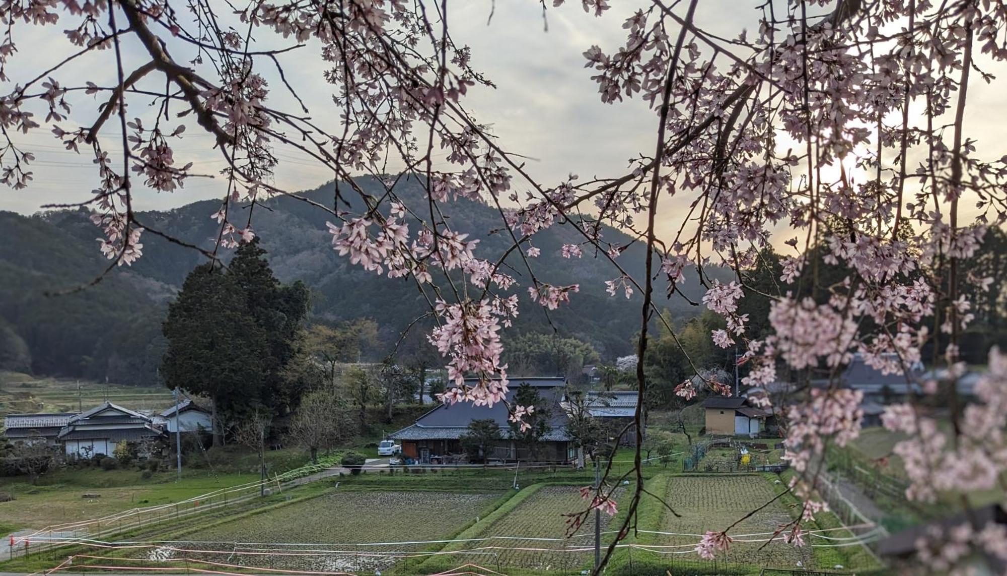 一汁一菜の宿　ちゃぶダイニング Ichiju Issai No Yado Chabu Dining Unforgettable Farmstay Experience In Deep Kyoto Ayabe Exterior foto